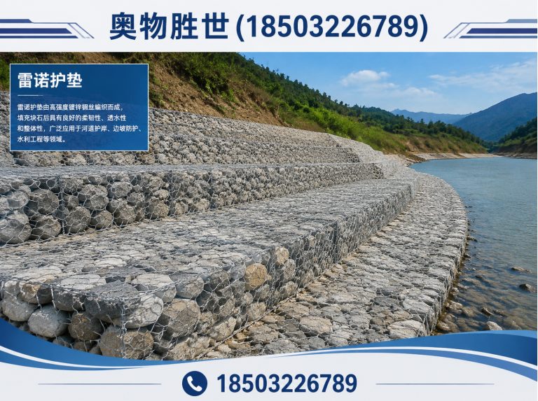 巴彦淖尔雷诺护垫展示图